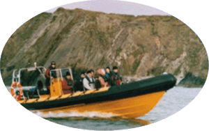 Barracuda Too - High powered rigid hulled inflatable boat
