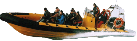 Barracuda Too - High speed rigid hulled inflatable boat